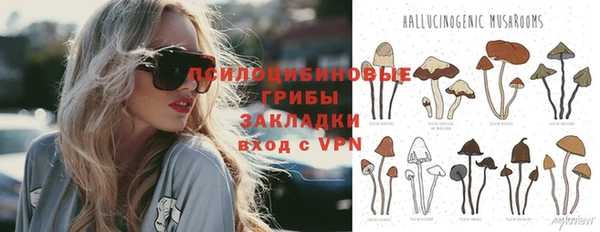 МДПВ Алзамай